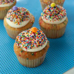 PartyCakes! Cupcakes